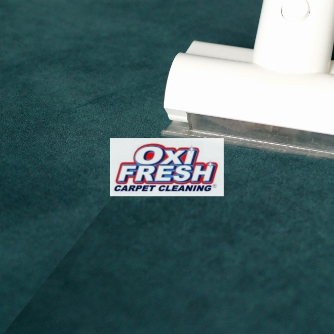 Residential upholstery cleaning services in Bellingham